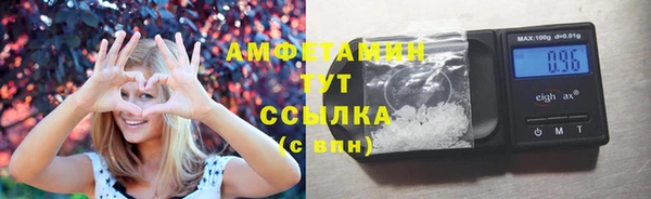молекула духа Ельня