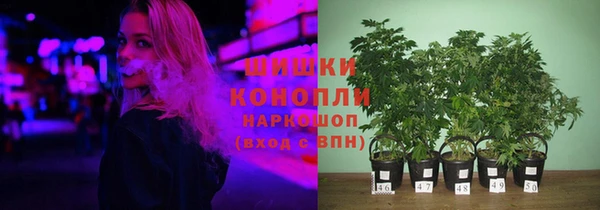 гидропоника Елабуга