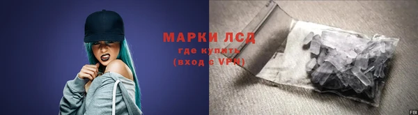 молекула духа Ельня