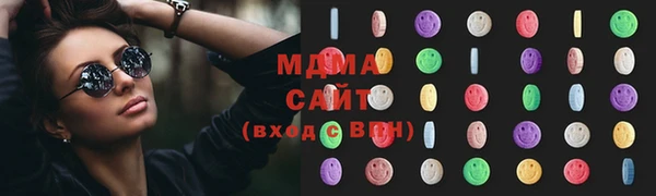 молекула духа Ельня