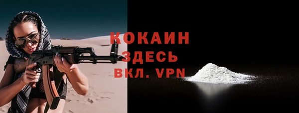 молекула духа Ельня
