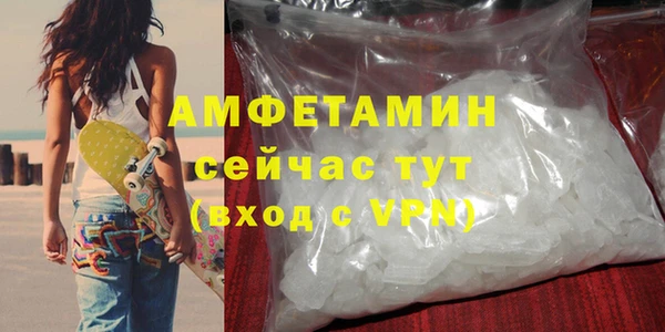молекула духа Ельня
