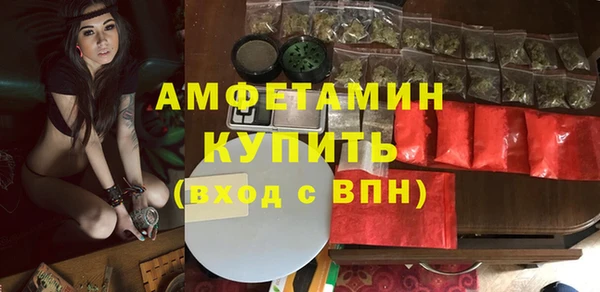 молекула духа Ельня