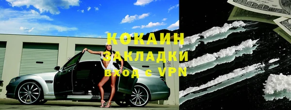 молекула духа Ельня