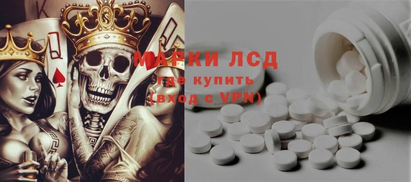 молекула духа Ельня