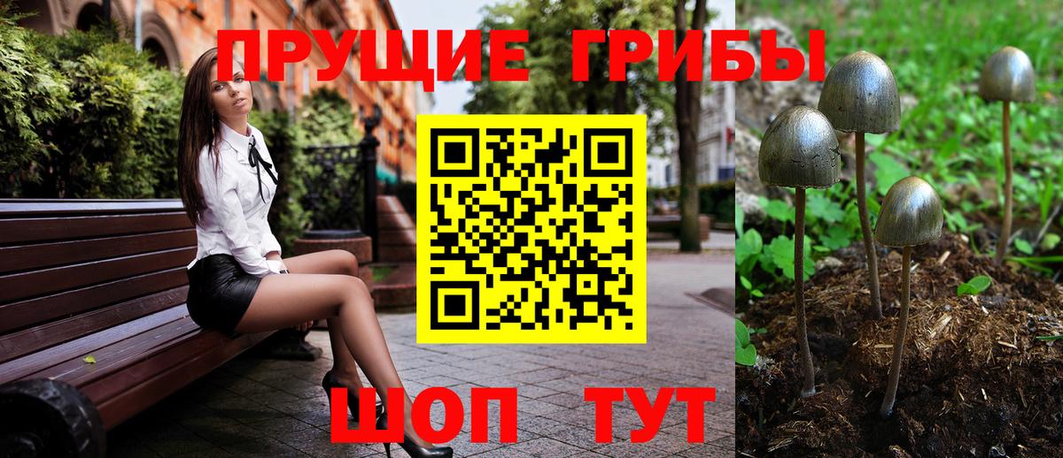 Галлюциногенные грибы мухоморы  Псилоцибиновые грибы Cubensis  Вход с VPN  Знаменск 