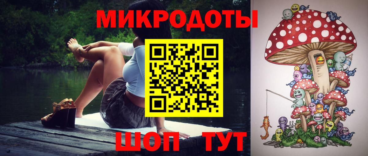 Галлюциногенные грибы Psilocybine cubensis Знаменск